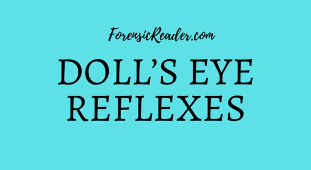doll's eye reflexes