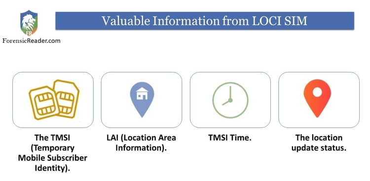 Information from LOCI SIM analysis