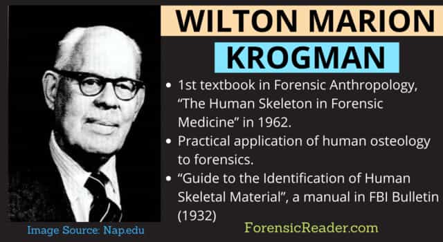 Wilton Marion Krogman forensic anthropology a famous man