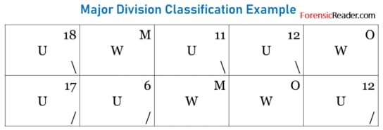 Example of henry Major Division Classification
