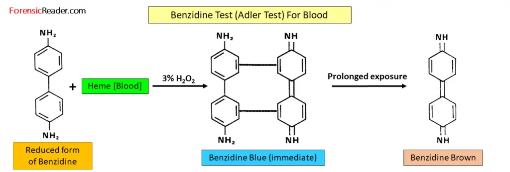 Adler Test or Benzidine Test chemical reaction