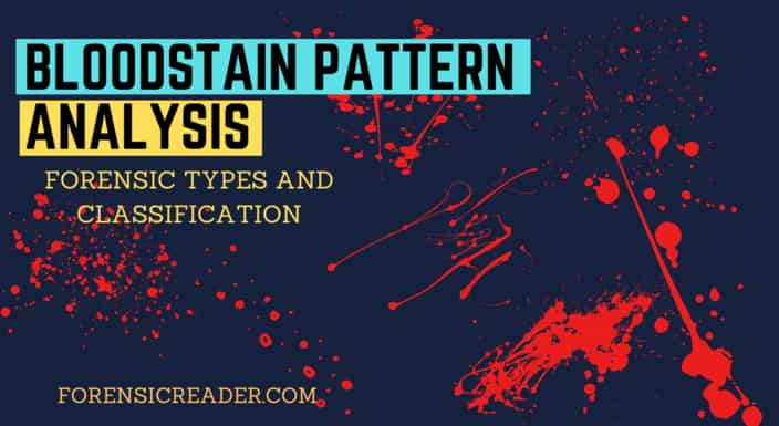 name and describe two methods for documenting bloodstain patterns