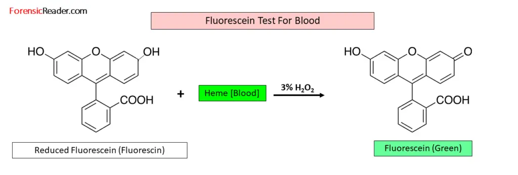 Fluorescin react with h202 and give fluorescein