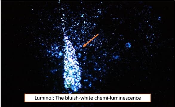 Bloody fingermarks due to luminol technique with bluish‐white chemi-luminescence