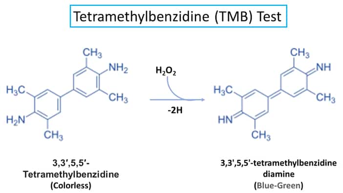Principle of Tetramethylbenzidine (TMB) Test