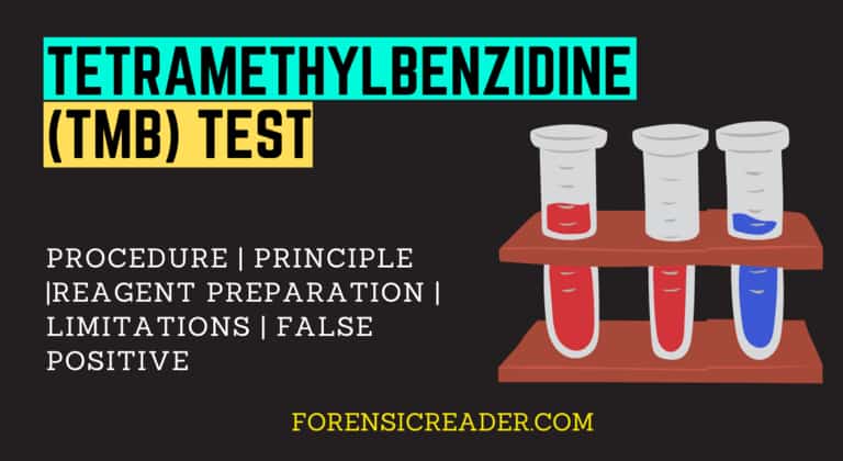 Tetramethylbenzidine (TMB) Test: Principle, Reagent and Procedure