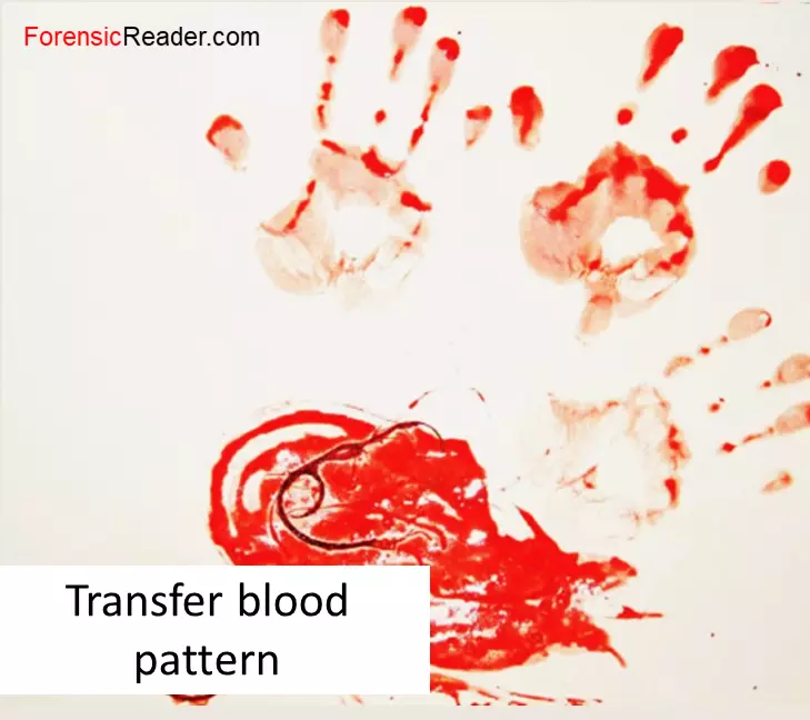 Transfer-Contact-blood-Pattern