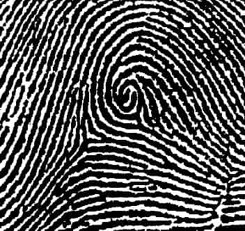 Accidental type of fingerprint