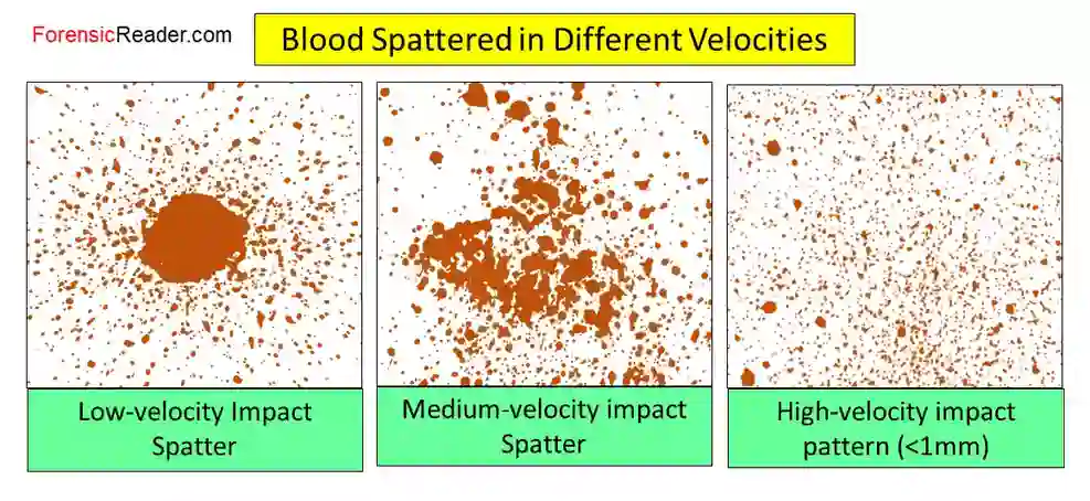 bloodstain pattern in different velocities