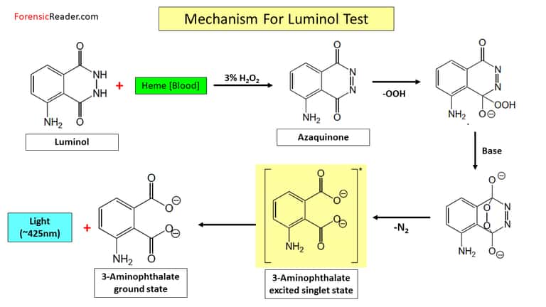 mechanism for Luminol test chemical reaction