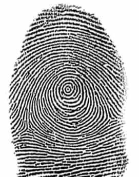 Whorl type of fingerprint