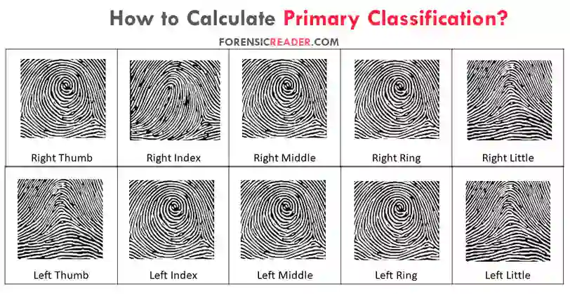 How to Calculate Primary Classification Number