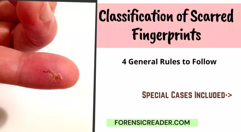 Classification of Scarred Fingerprints