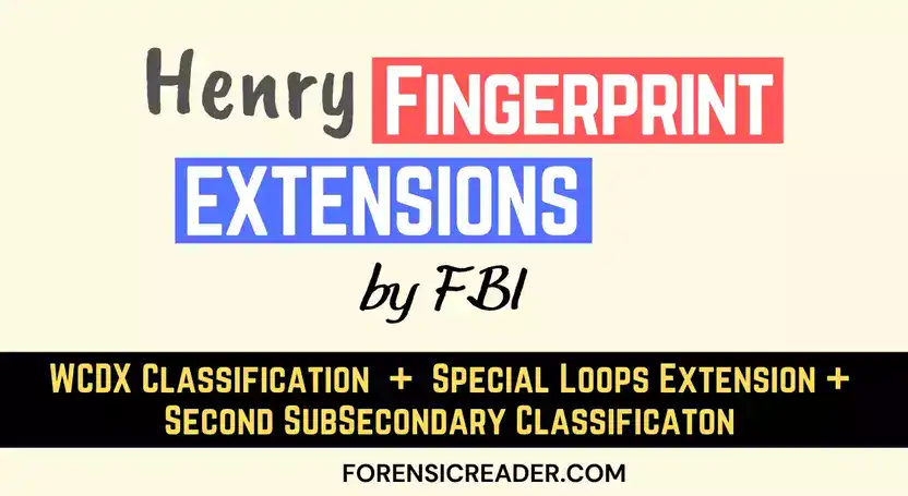 Extensions of Henry Fingerprint System WCDX & Special Loops