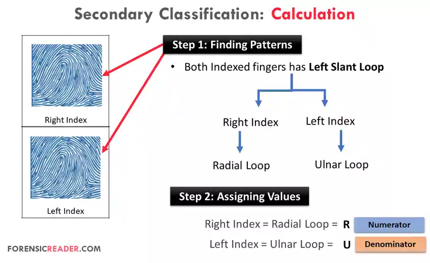 Procedure for secondary classification from step 1 to step 3 
