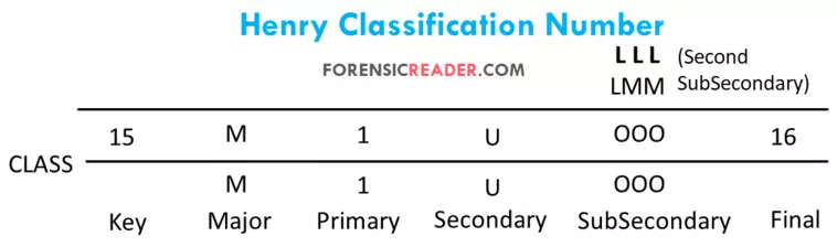 Representation of second subsecondary in Henry Classification line