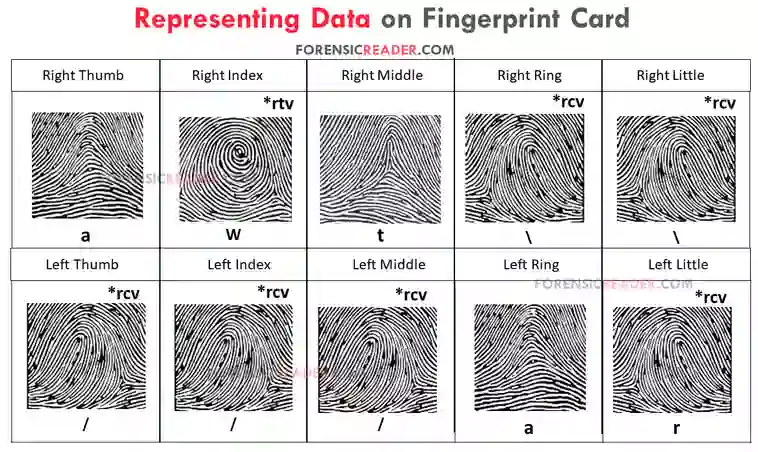 Rules for Writing Informations on Fingerprint Card