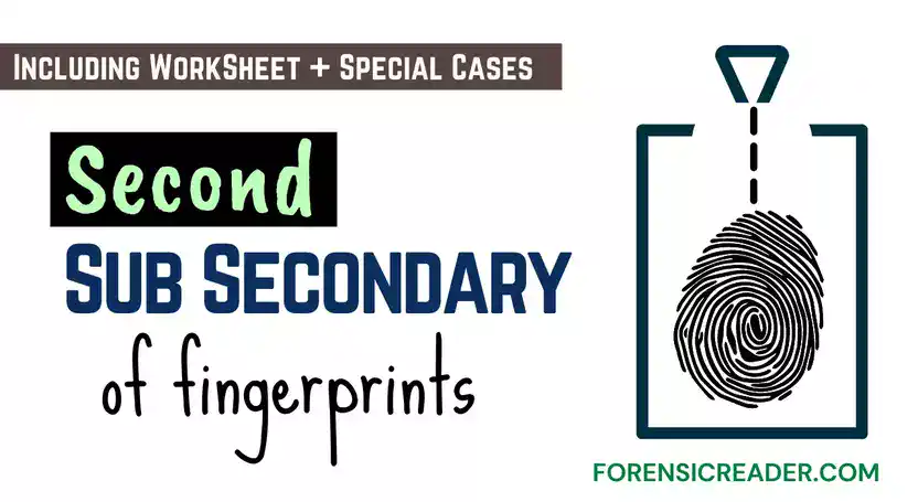 Second Sub Secondary Classification of Fingerprint