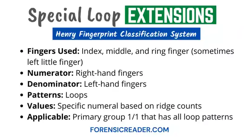 what is Special Loop Extension of Fingerprint