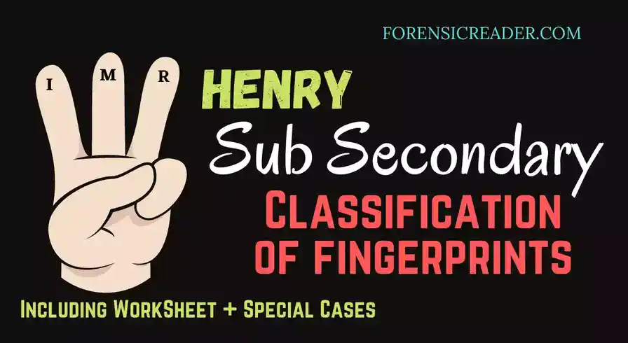 Sub Secondary Classification of Fingerprints