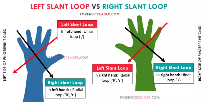 left slant vs right slant loops