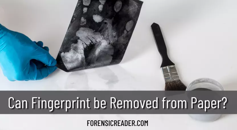 Can fingerprint be removed from paper