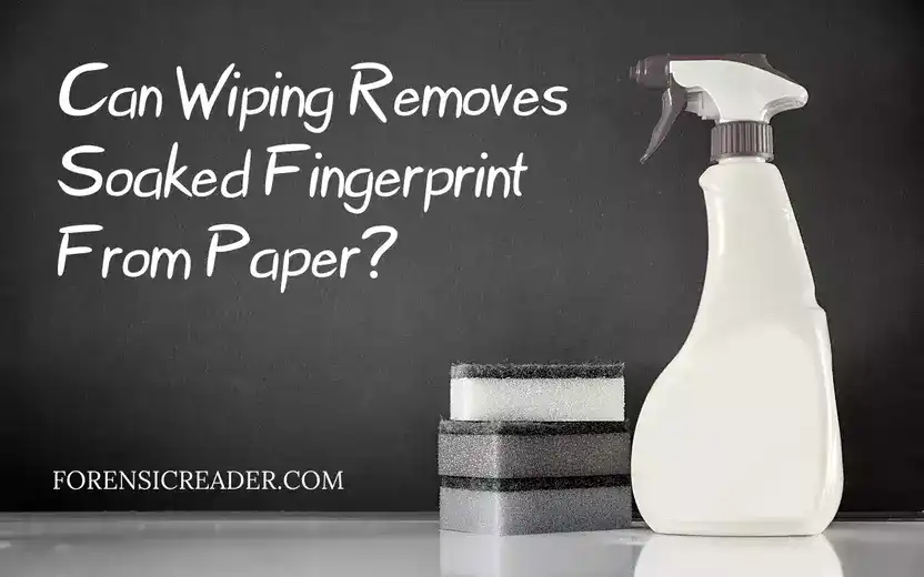 Can wiping removes fingerprint from paper