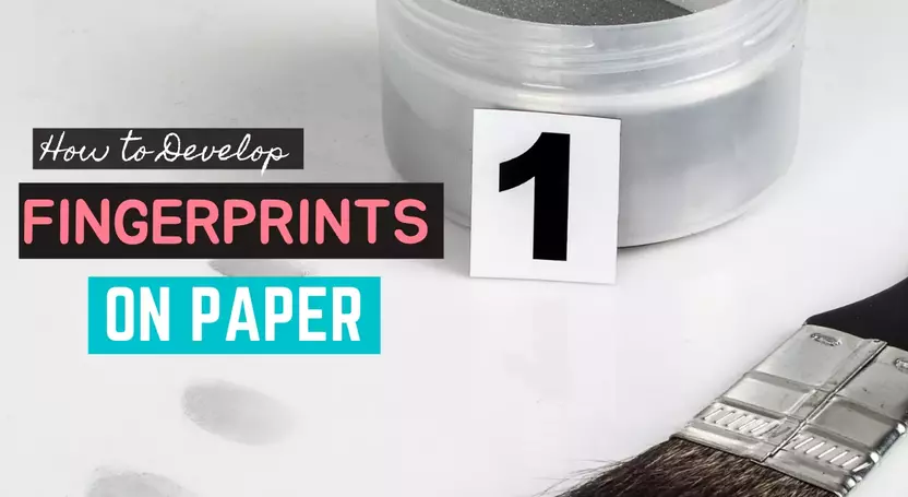 How to Develop Fingerprints on Papered Questioned Documents