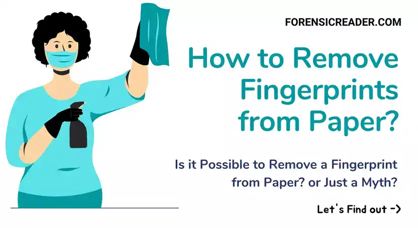How to Remove Fingerprints from Paper