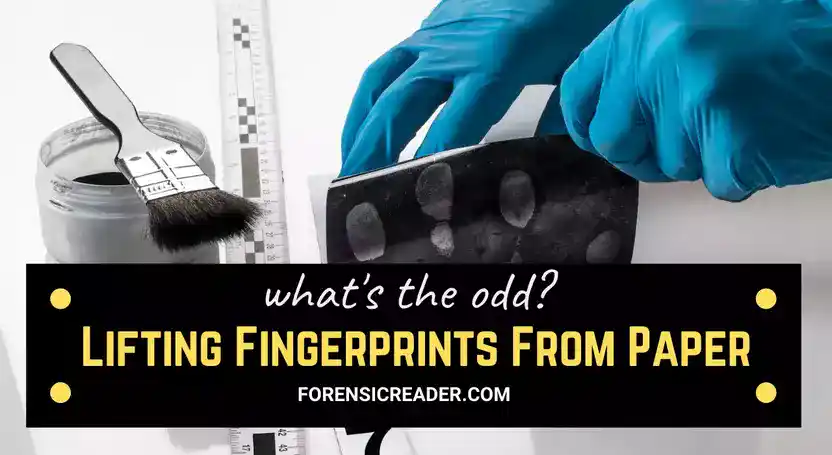 Lifting Fingerprints From Paper