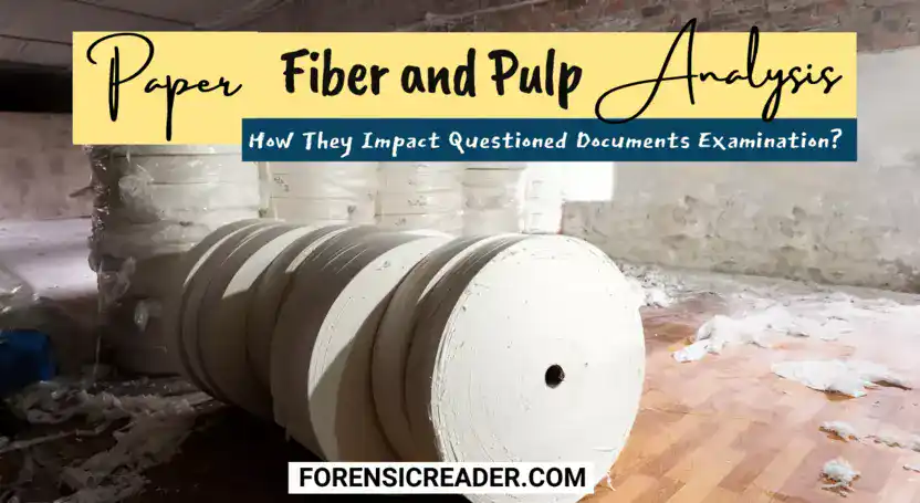 Paper Fiber and Pulp Analysis How They Impact Questioned Documents Examination