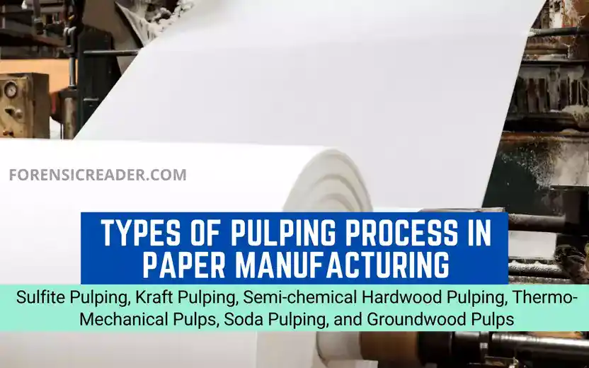 Types of Pulping Process in Paper Manufacturing