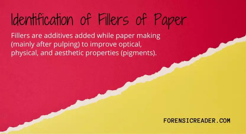 Identification of Fillers of Paper