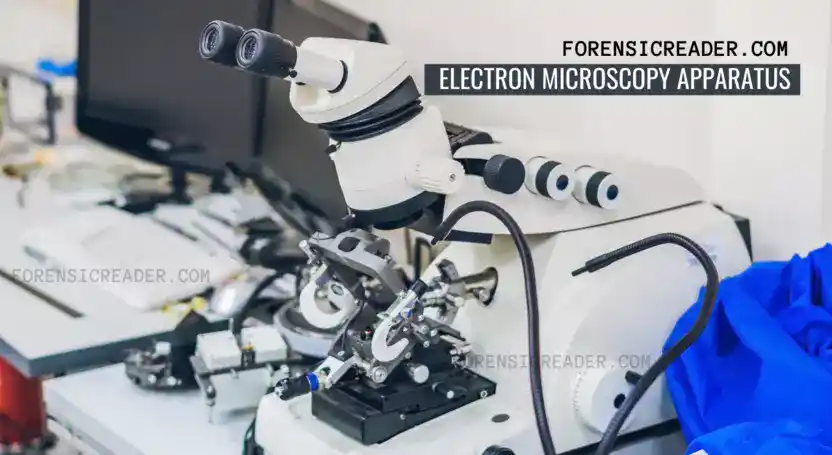 electron microscopy in questioned document