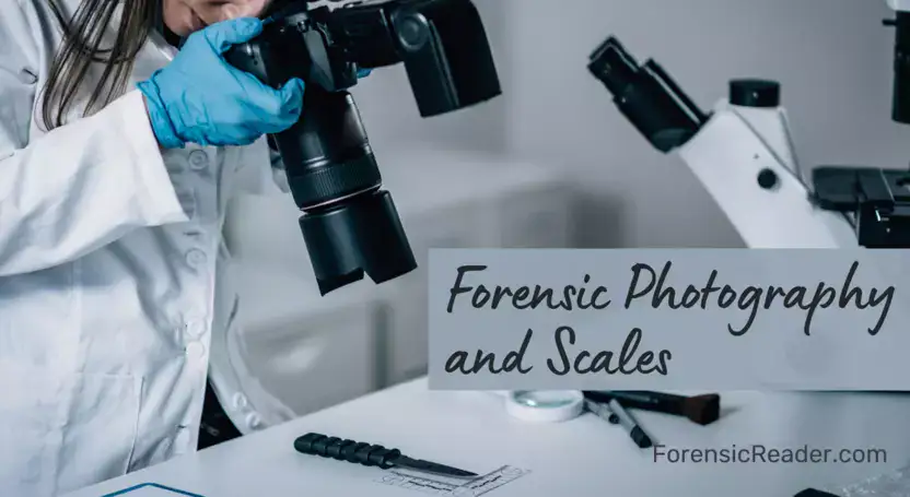 Forensic Photography & Scales How To Use Them Effectively With Examples