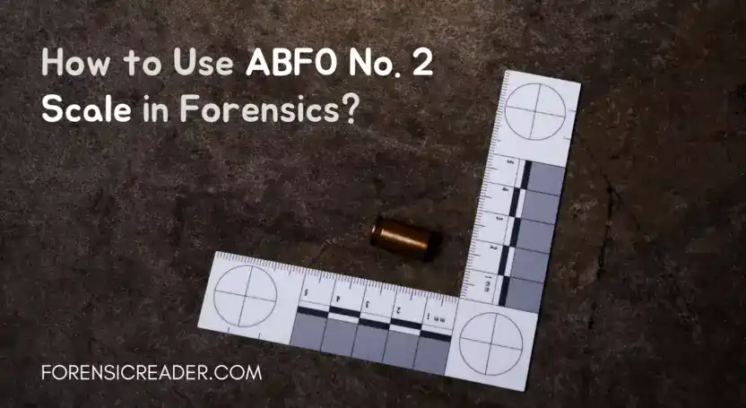 How to Use ABFO No. 2 Scale in Forensics