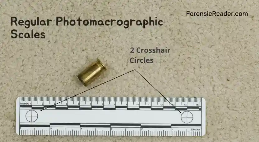 Regular Photomacrographic forensic Scale