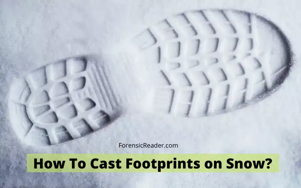 How To Cast Footprints on Snow impression