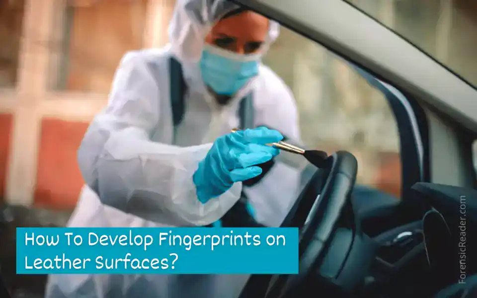 How To Develop Fingerprints on Leather Surfaces