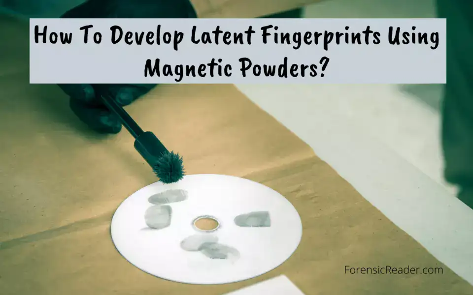 How To Develop Latent Fingerprints Using Magnetic Powders