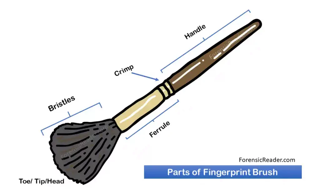Parts of Fingerprint Brush