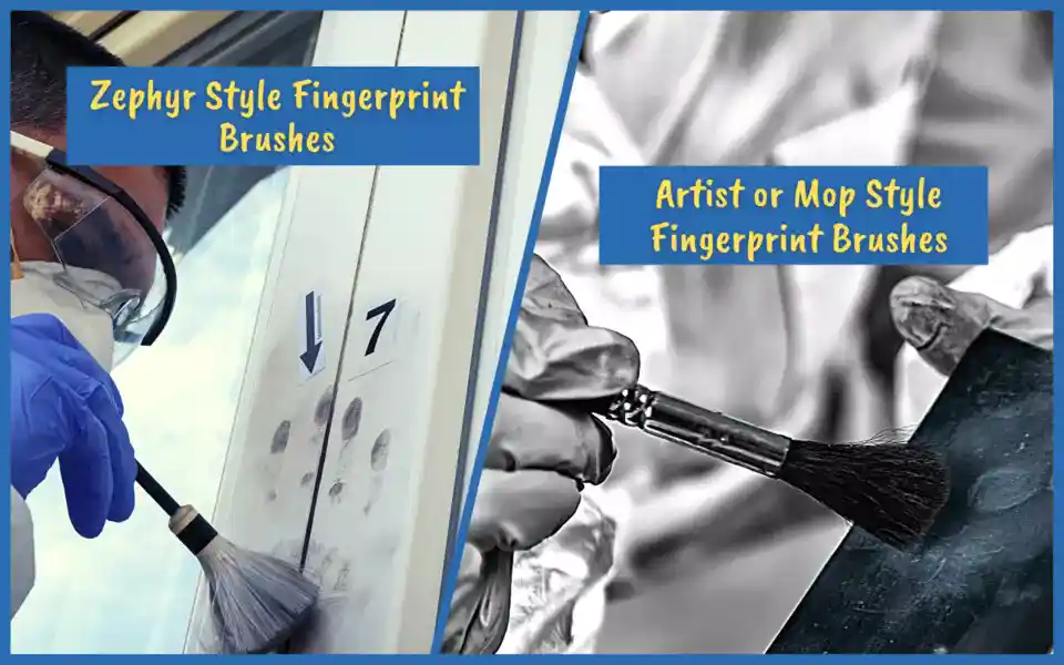 Zephyr vs artist or mop fingerprint brushes