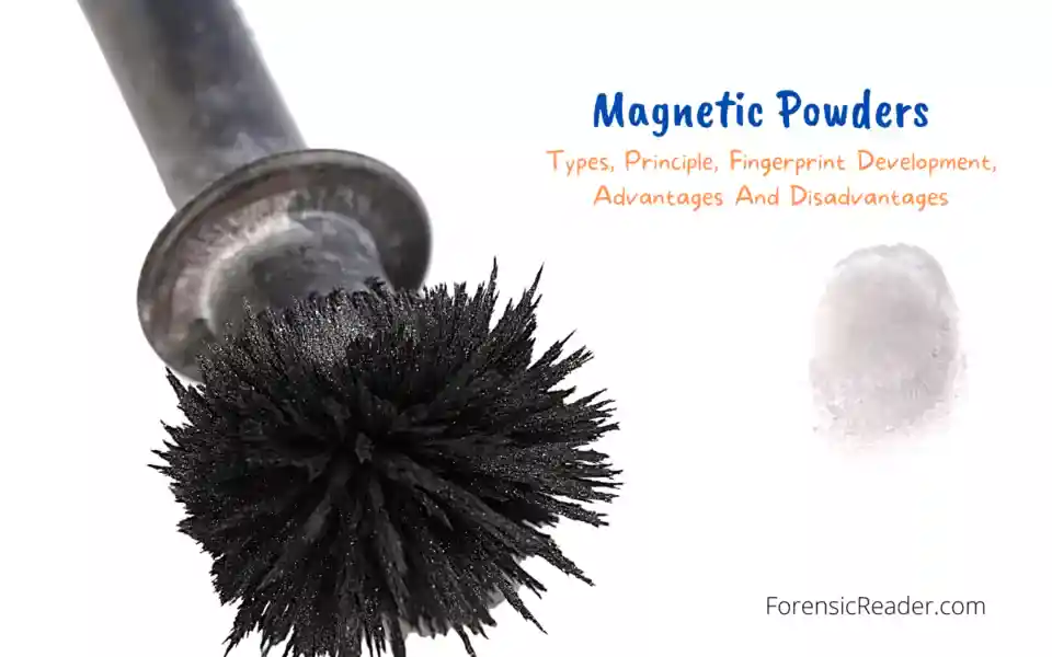 what are magentic fingerprint powders