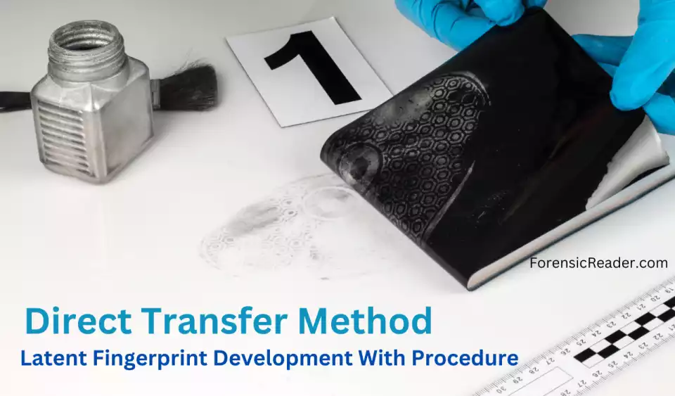 Direct Transfer Method of Latent Fingerprint Development With Procedure