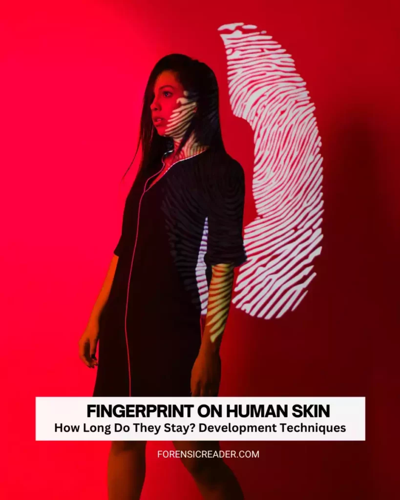 Fingerprint on Human Skin How Long Do They Stay Development Techniques