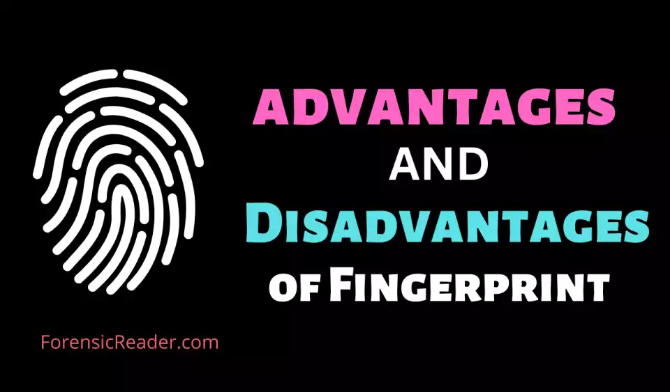 Advantages and Disadvantages of Fingerprints in Sensors, Authentication Systems, and Forensic Science