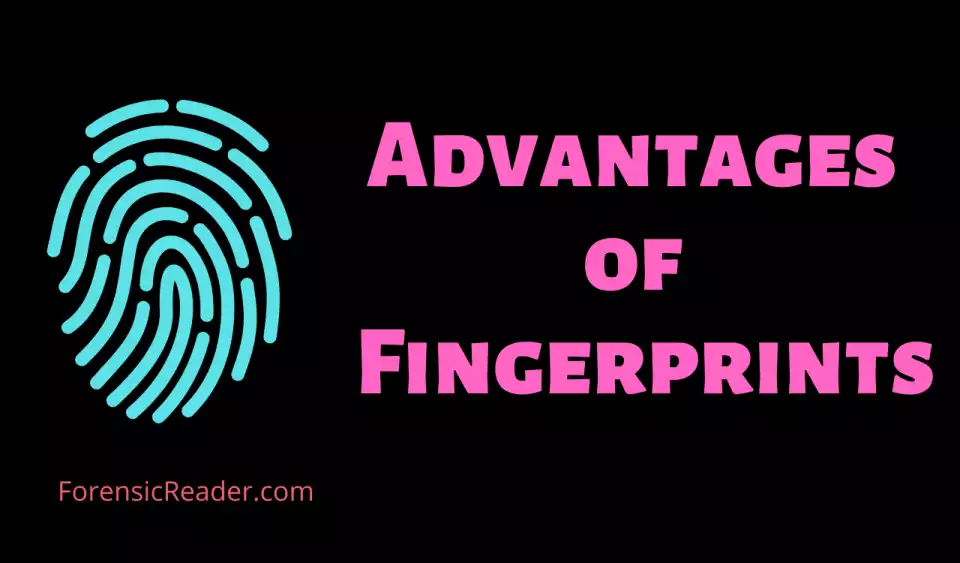 Advantages of Fingerprints
