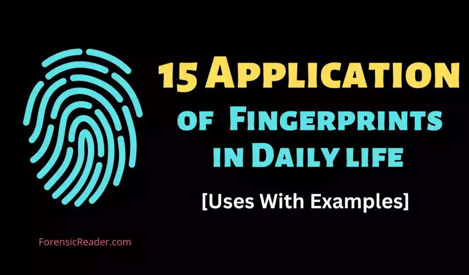 Application of Fingerprints in Daily life With Examples