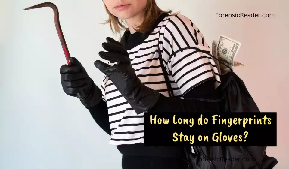 How Long do Fingerprints Stay on Gloves?