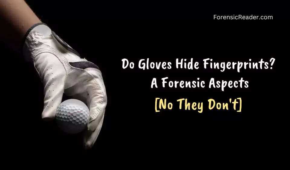 Fingerprints & Gloves Do Gloves Hide Fingerprints
